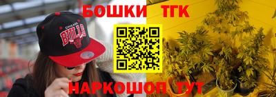 дживик Бийск