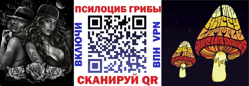 купить наркоту  Благовещенск  Галлюциногенные грибы прущие грибы 
