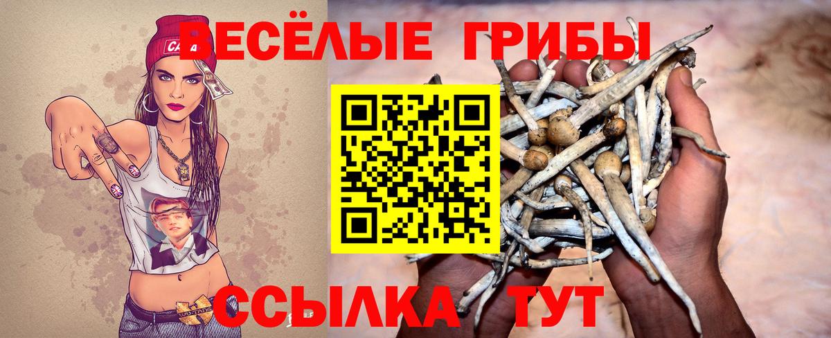 Благовещенск  Псилоцибиновые грибы GOLDEN TEACHER  Вход с VPN  Галлюциногенные грибы прущие грибы 