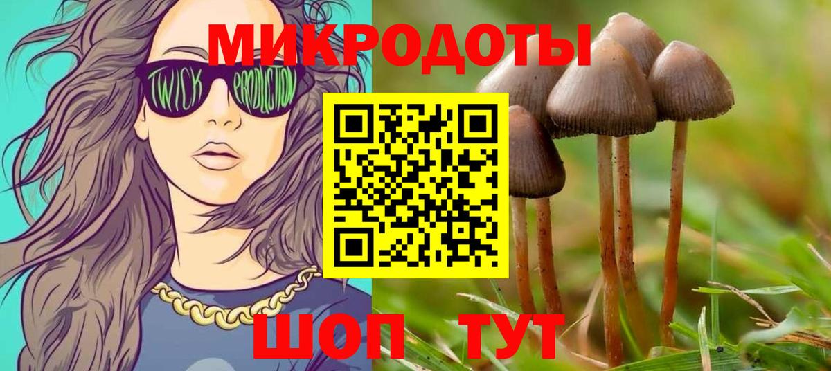 Галлюциногенные грибы Благовещенск