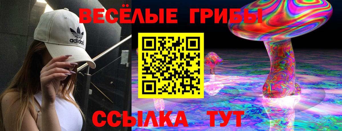 Псилоцибиновые грибы Cubensis Благовещенск