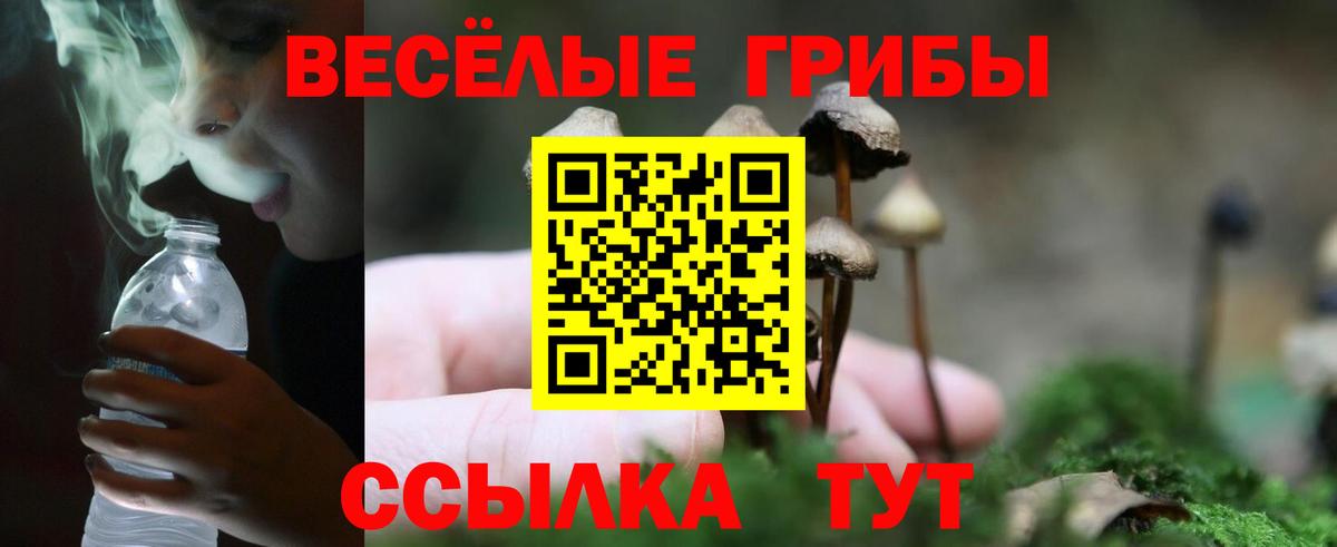 Галлюциногенные грибы Psilocybe  где найти наркотики  Благовещенск 